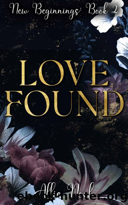 Love Found: New Beginnings Book Two by Allie Noel