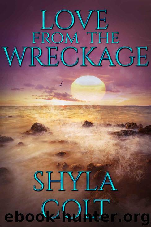 Love From The Wreckage by Colt Shyla