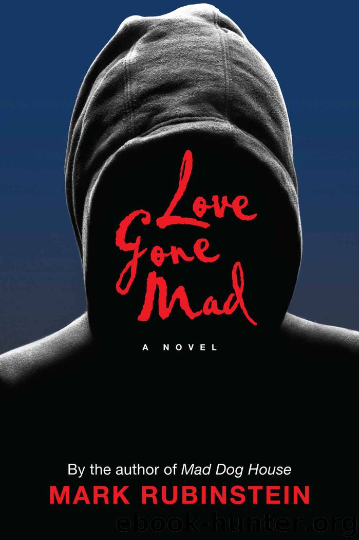 Love Gone Mad by Rubinstein Mark