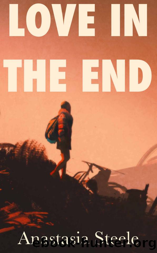 Love In The End: A Dystopian Lesbian Romance by Anastasia Steele