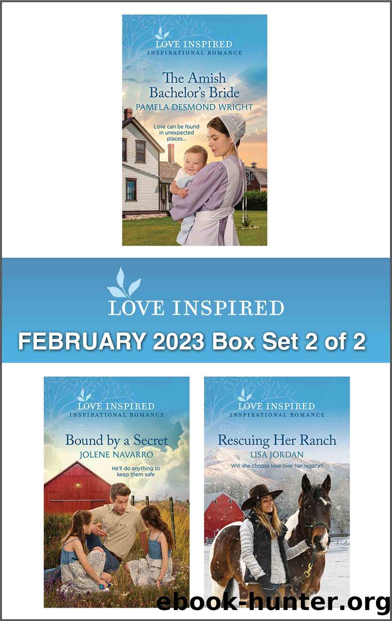 Love Inspired February 2023 Box Set--2 of 2 by Pamela Desmond Wright