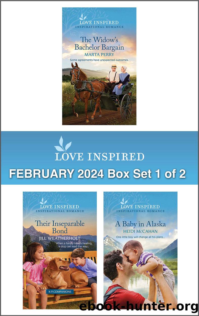 Love Inspired February 2024 Box Set--1 of 2 by Marta Perry
