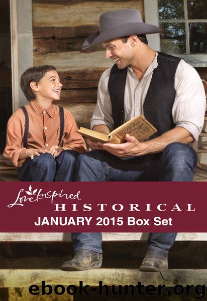 Love Inspired Historical January 2015 Box Set: Wolf Creek Father\Cowboy Seeks a Bride\Falling for the Enemy\Accidental Fiancee by Penny Richards
