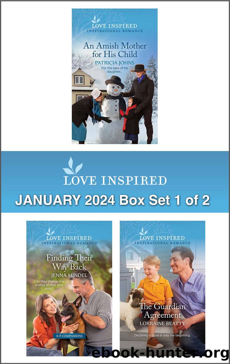 Love Inspired January 2024 Box Set--1 of 2 by Patricia Johns