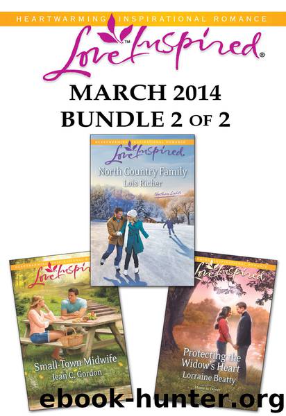 Love Inspired March 2014 - Bundle 2 of 2: North Country Family\Small-Town Midwife\Protecting the Widow's Heart by Lois Richer