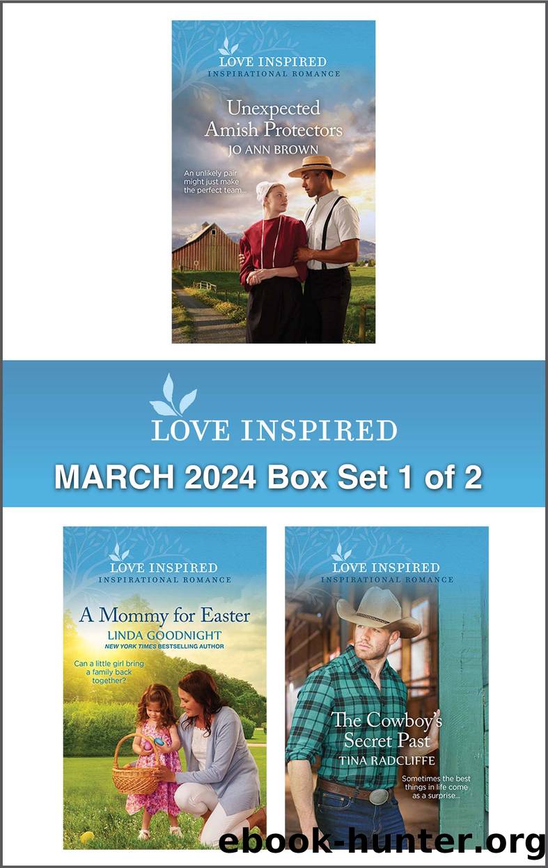 Love Inspired March 2024 Box Set 1 of 2 by Jo Ann Brown Linda Goodnight and Tina Radcliffe