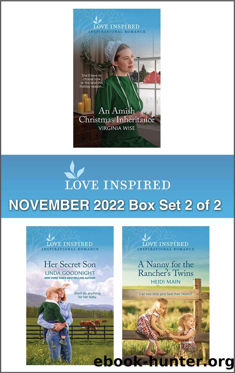 Love Inspired November: 2022 Box Set 2 of 2 by Virginia Wise