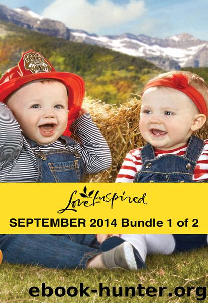 Love Inspired September 2014 - Bundle 1 of 2: Her Montana Twins\Small-Town Billionaire\Stranded with the Rancher by Carolyne Aarsen