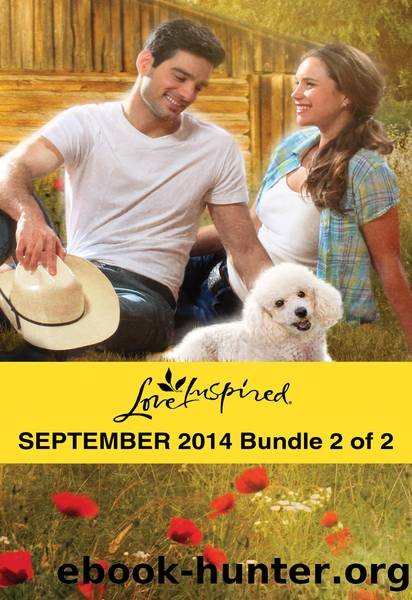 Love Inspired September 2014 - Bundle 2 of 2: Her Hometown Hero\The Deputy's New Family\Rescuing the Texan's Heart by Margaret Daley