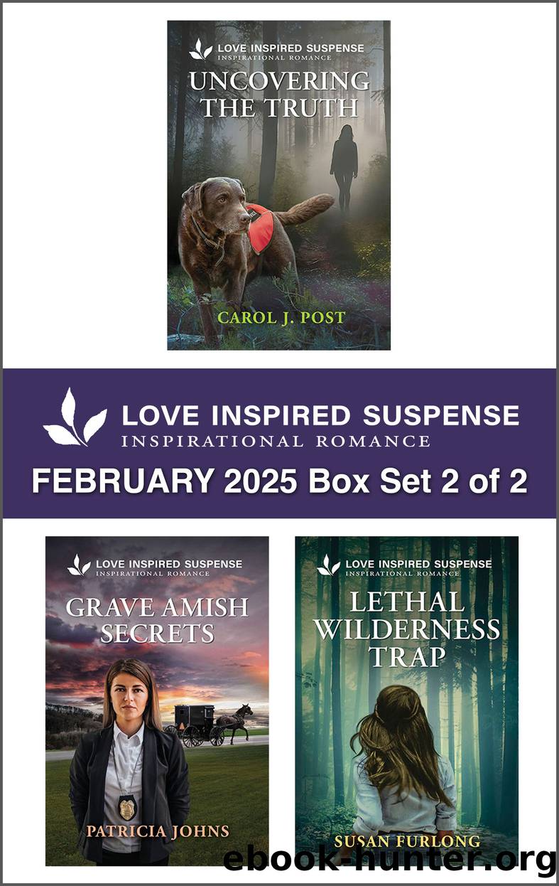 Love Inspired Suspense February 2025 Box Set 2 of 2 by Carol J. Post Patricia Johns and Susan Furlong
