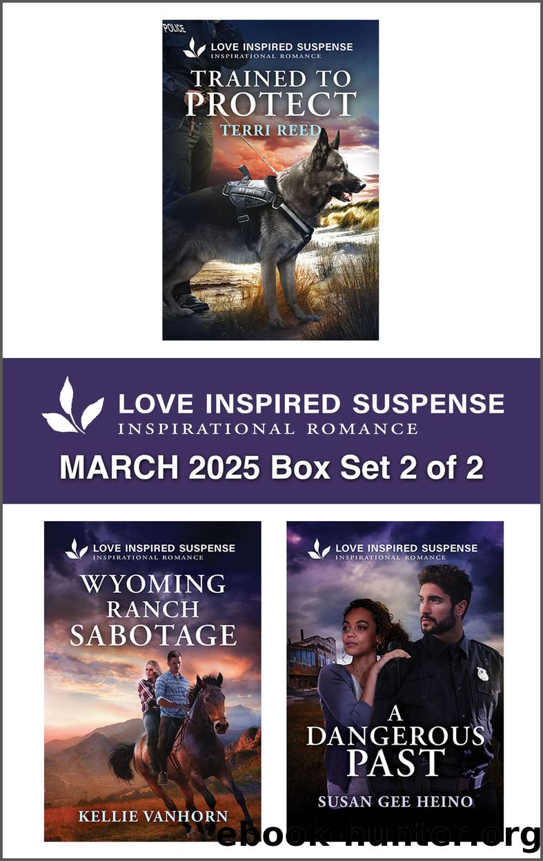 Love Inspired Suspense March 2025 Box Set 2 of 2 by Terri Reed Kellie VanHorn and Susan Gee Heino