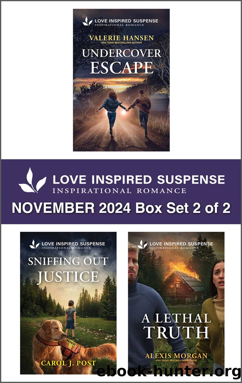 Love Inspired Suspense November 2024 Box Set 2 of 2 by Valerie Hansen Carol J. Post and Alexis Morgan