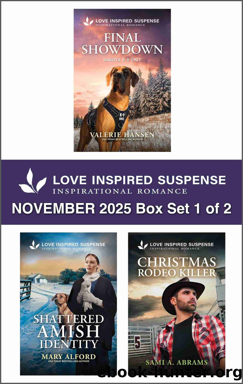 Love Inspired Suspense November 2025 Box Set 1 of 2 by Valerie Hansen Mary Alford and Sami A. Abrams