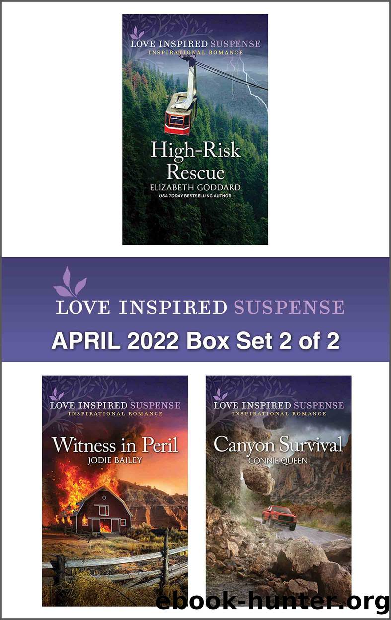 Love Inspired Suspense: April 2022, Box Set 2 of 2 by Elizabeth Goddard