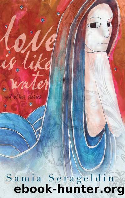 Love Is Like Water and Other Stories : and Other Stories by Samia Serageldin