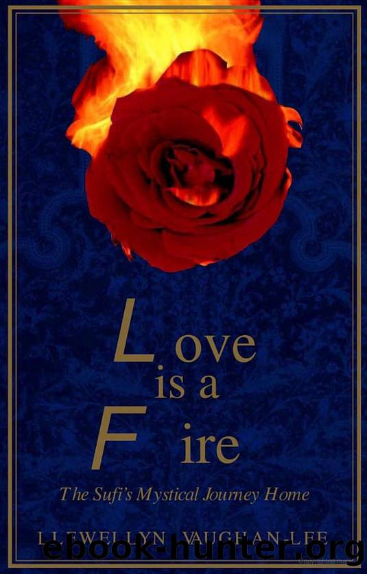 Love Is a Fire The Sufi s Mystical Journey Home by Unknown