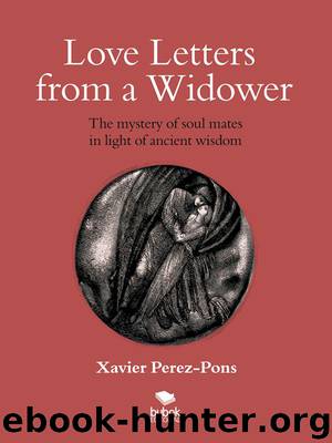 Love Letters from a Widower. The Mystery of Soul Mates in Light of Ancient Wisdom by Xavier Perez-Pons
