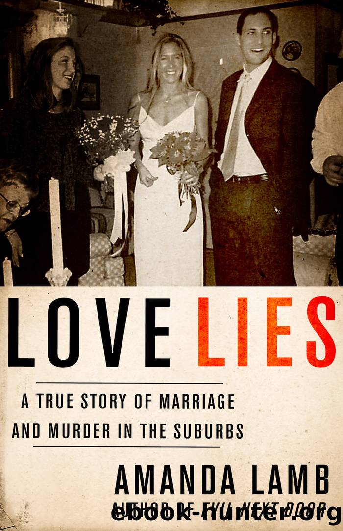 Love Lies by Amanda Lamb