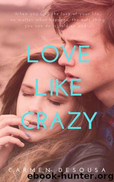 Love Like Crazy (Crazy Love Book 1) by Carmen DeSousa
