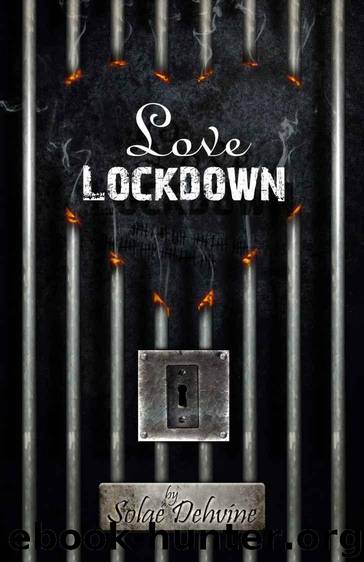Love Lock Down: The Complete Series by Solae Dehvine