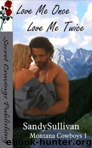 Love Me Once, Love Me Twice by Sandy Sullivan