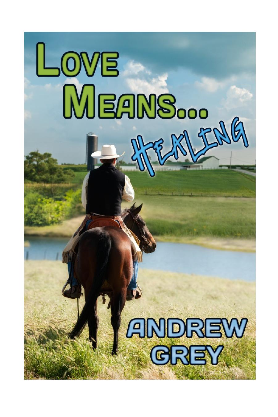 Love Means... Healing by Andrew Grey