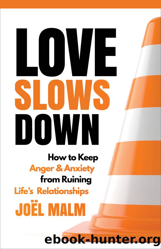 Love Slows Down: How to Keep Anger and Anxiety from Ruining Life's Relationships: How to Keep Anger and Anxiety from Ruining Life's Relationships by Joël Malm