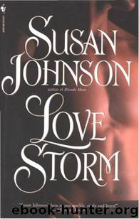 Love Storm by Susan Johnson