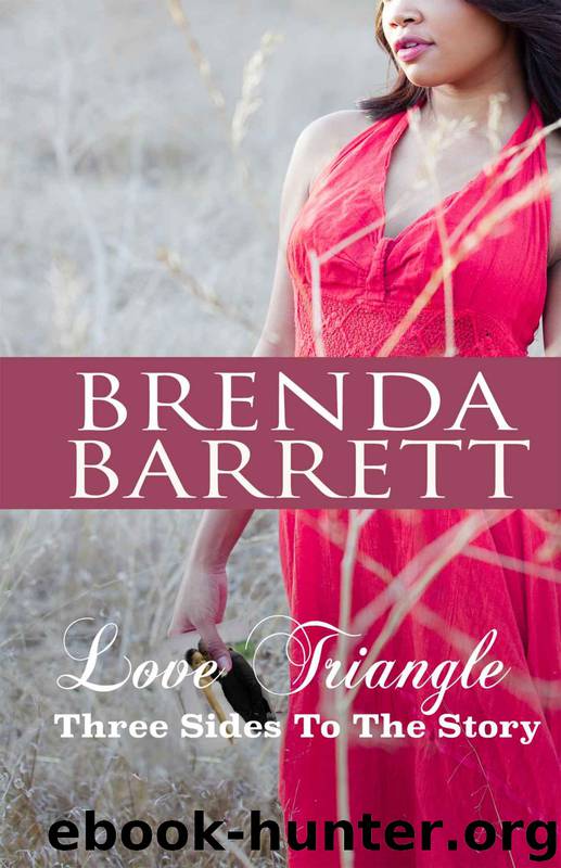Love Triangle 1: Three Sides to the Story by Brenda Barrett