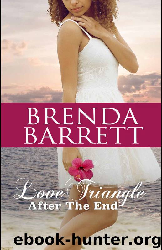 Love Triangle 2: After the End by Brenda Barrett