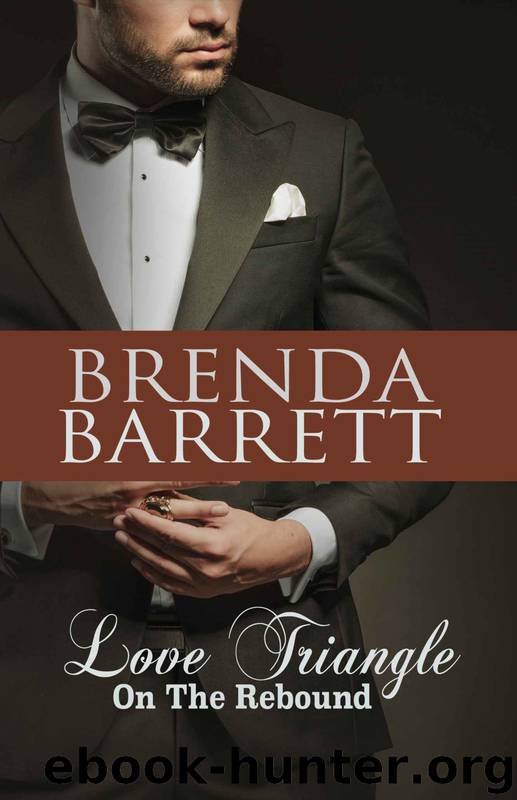 Love Triangle 3: On the Rebound by Brenda Barrett
