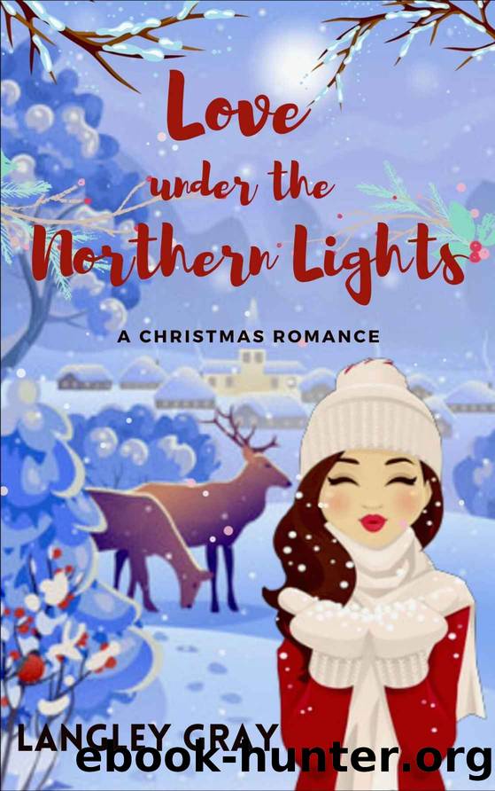 Love Under the Northern Lights : A Christmas Romance Short Story by Langley Gray