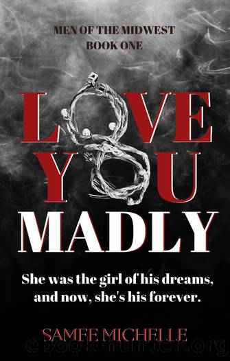 Love You Madly: Men of the Midwest - Book One by Michelle Samee