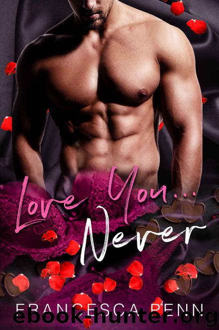Love You...Never by Francesca Penn