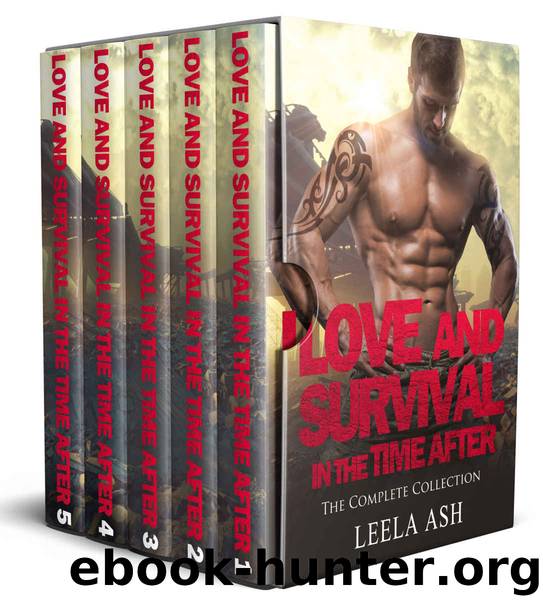 Love and Survival in the Time After Box Set by Leela Ash