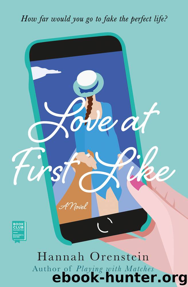 Love at First Like by Hannah Orenstein