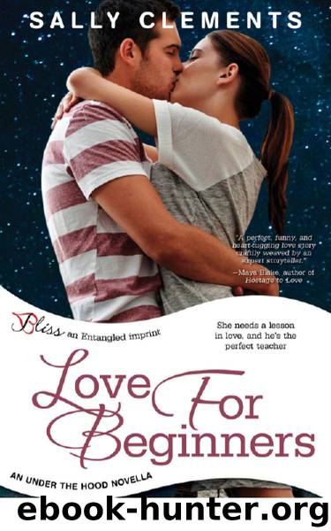 Love for Beginners: An Under the Hood Novella by Sally Clements