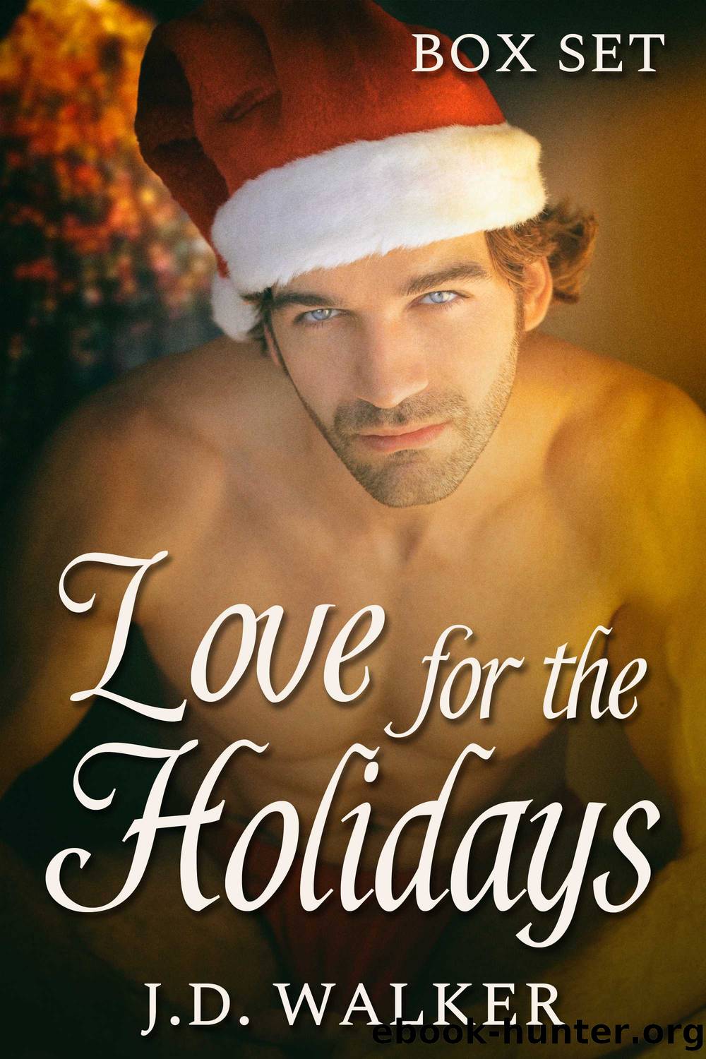 Love for the Holidays Box Set by J.D. Walker