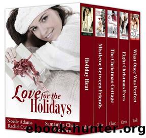 Love for the Holidays by unknow