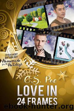 Love in 24 Frames (2019 Advent Calendar | Homemade for the Holidays Book 15) by C.S. Poe