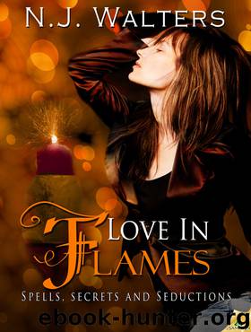 Love in Flames by N. J. Walters