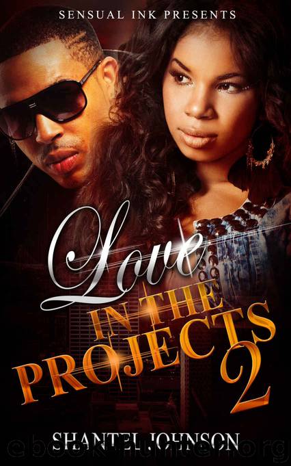 Love in The Projects 2: A Brooklyn Love Story (Urban Fiction) by Shantel Johnson