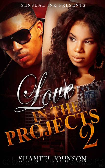 Love in The Projects 2: A Brooklyn Love Story by Shantel Johnson