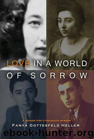 Love in a World of Sorrow: A Teenage Girl's Holocaust Memoirs by Fanya Heller