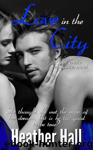 Love in the City, an erotic romance novel by Hall Heather