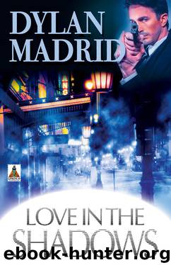 Love in the Shadows by Dylan Madrid
