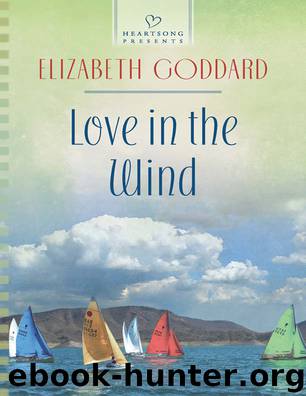 Love in the Wind by Elizabeth Goddard