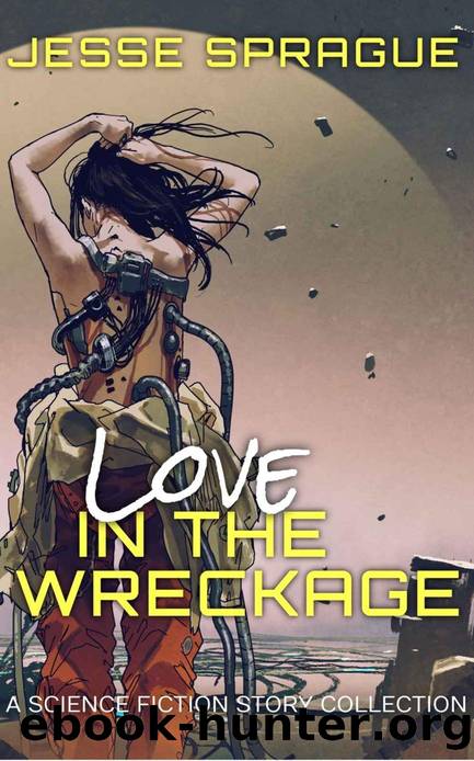 Love in the Wreckage by Jesse Sprague