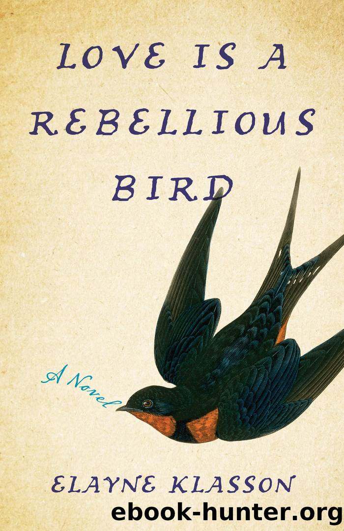 Love is a Rebellious Bird: A Novel by Elayne Klasson