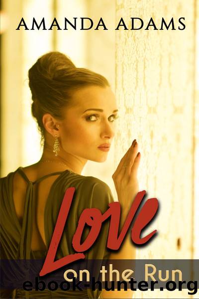 Love on the Run by Amanda Adams